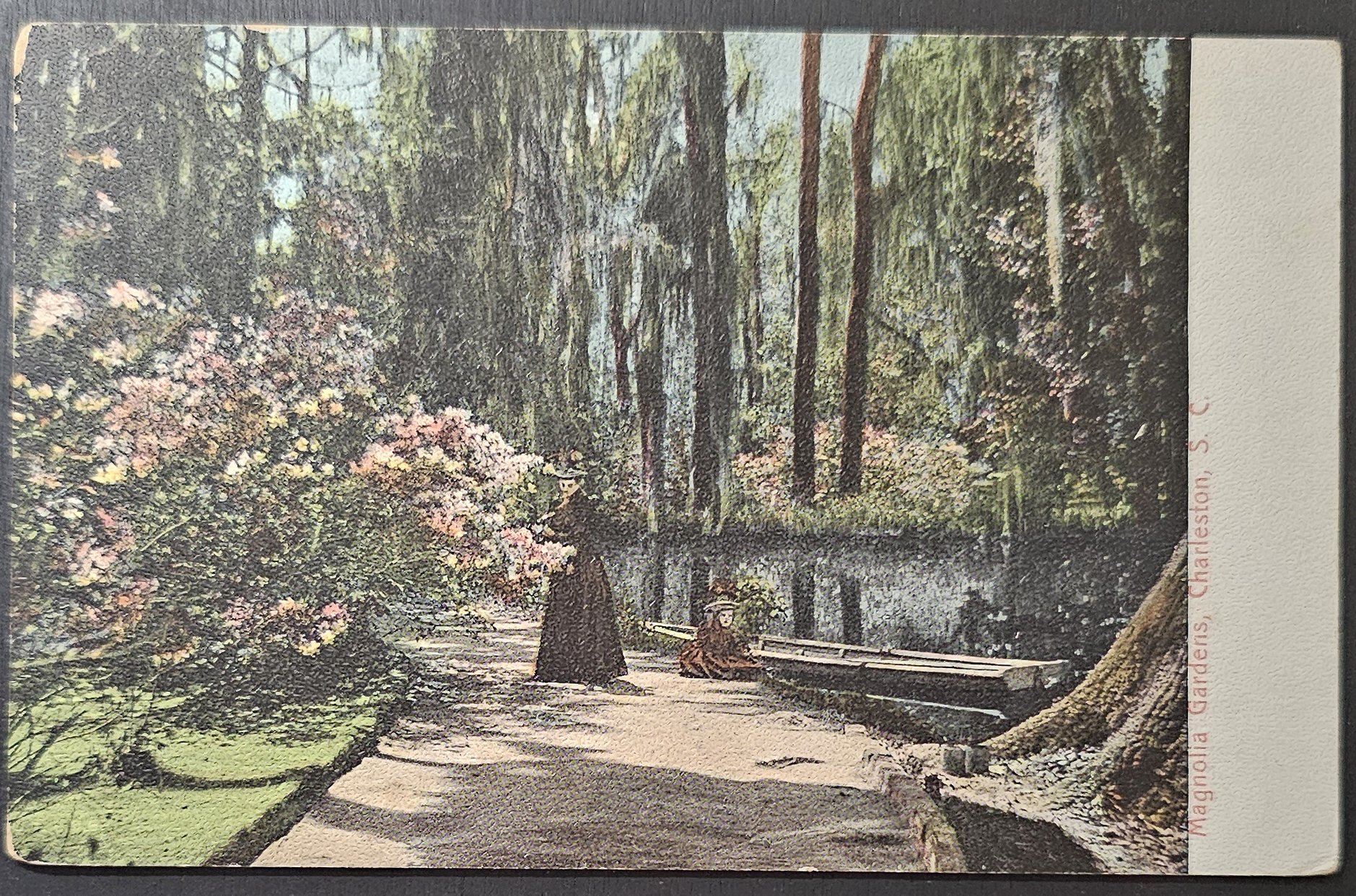 (image for) postcard USA - SC - South Carolina #0008